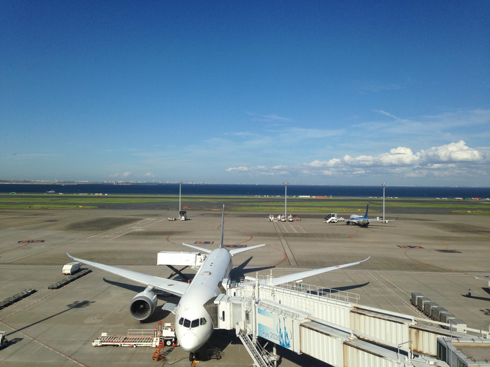 武蔵小杉エリアから羽田空港へのアクセスには直行バスが絶対おすすめ 運賃や所要時間まとめ 羽田の格安航空券 Lccの比較検索予約サイト トラベリスト