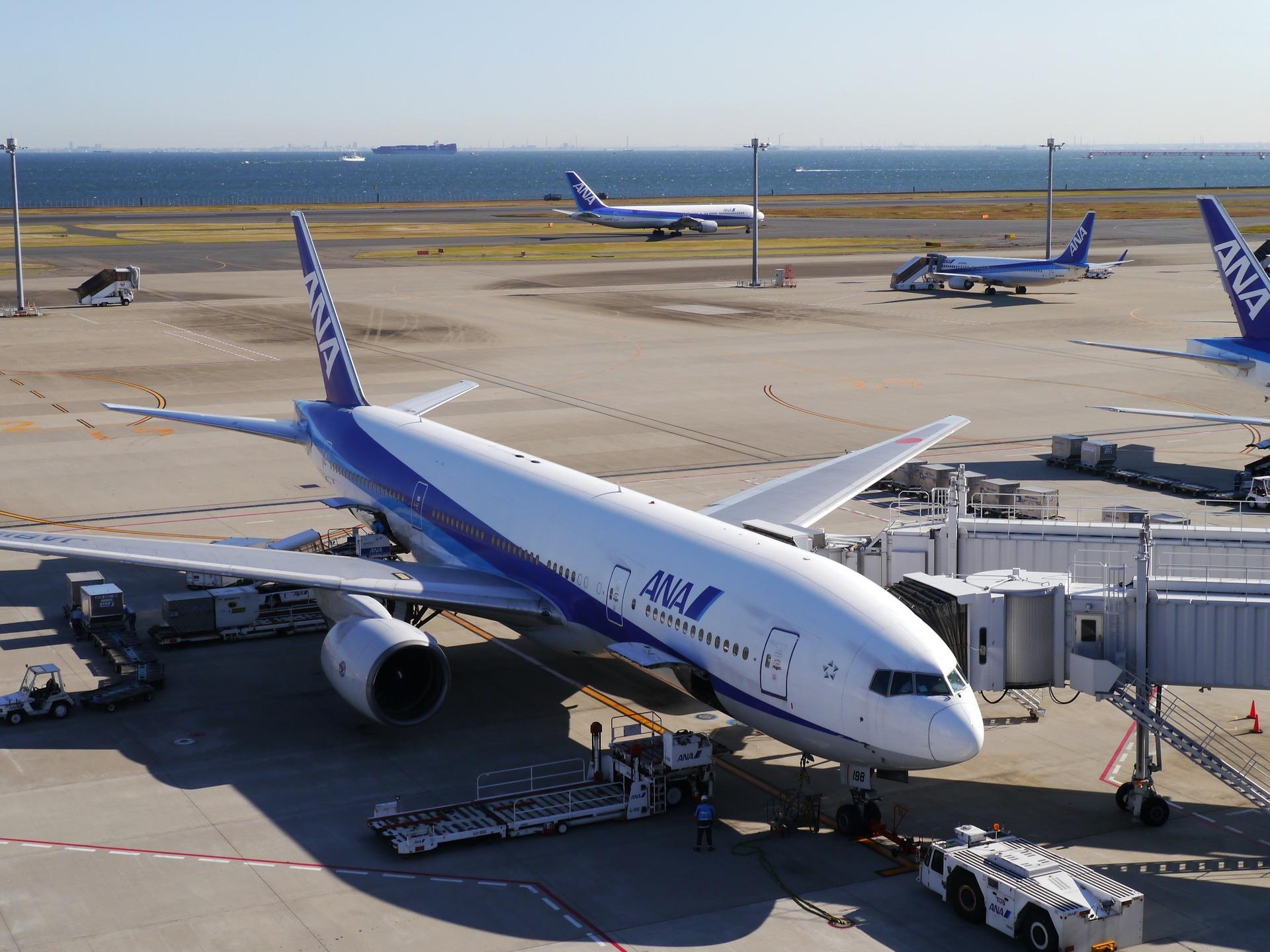 どの航空券が一番安い 宮崎空港 羽田空港間の就航路線と搭乗手続きの解説 宮崎の格安航空券 Lccの比較検索予約サイト トラベリスト