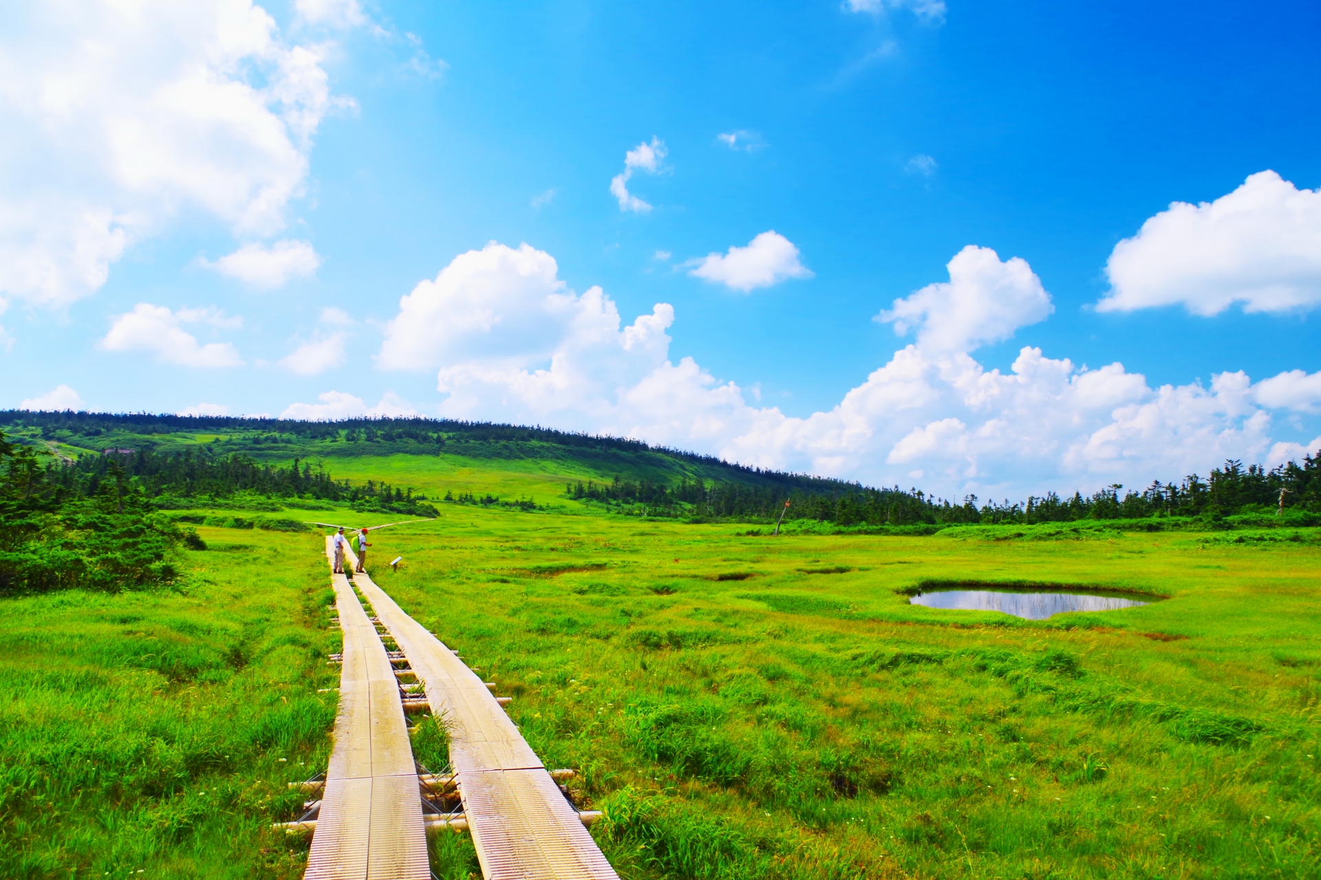 秋田空港から羽田空港へ 航空会社 便数 料金を調べてみました