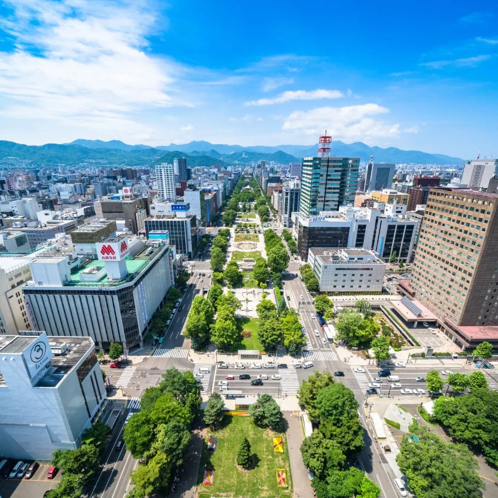 関西空港発→札幌（新千歳）空港行きの格安航空券・飛行機・LCC予約
