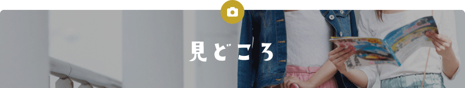 見どころ