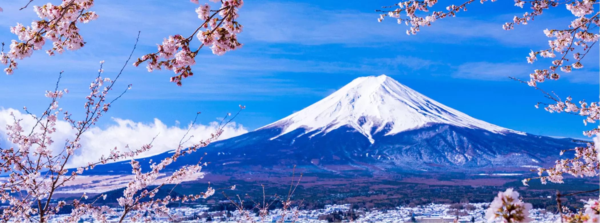 出雲(島根)発中部(名古屋)行きの格安航空券