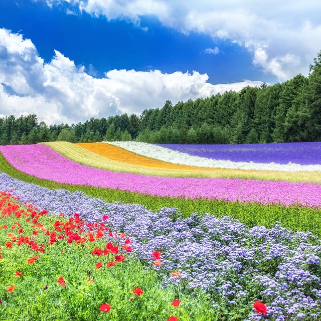 北海道